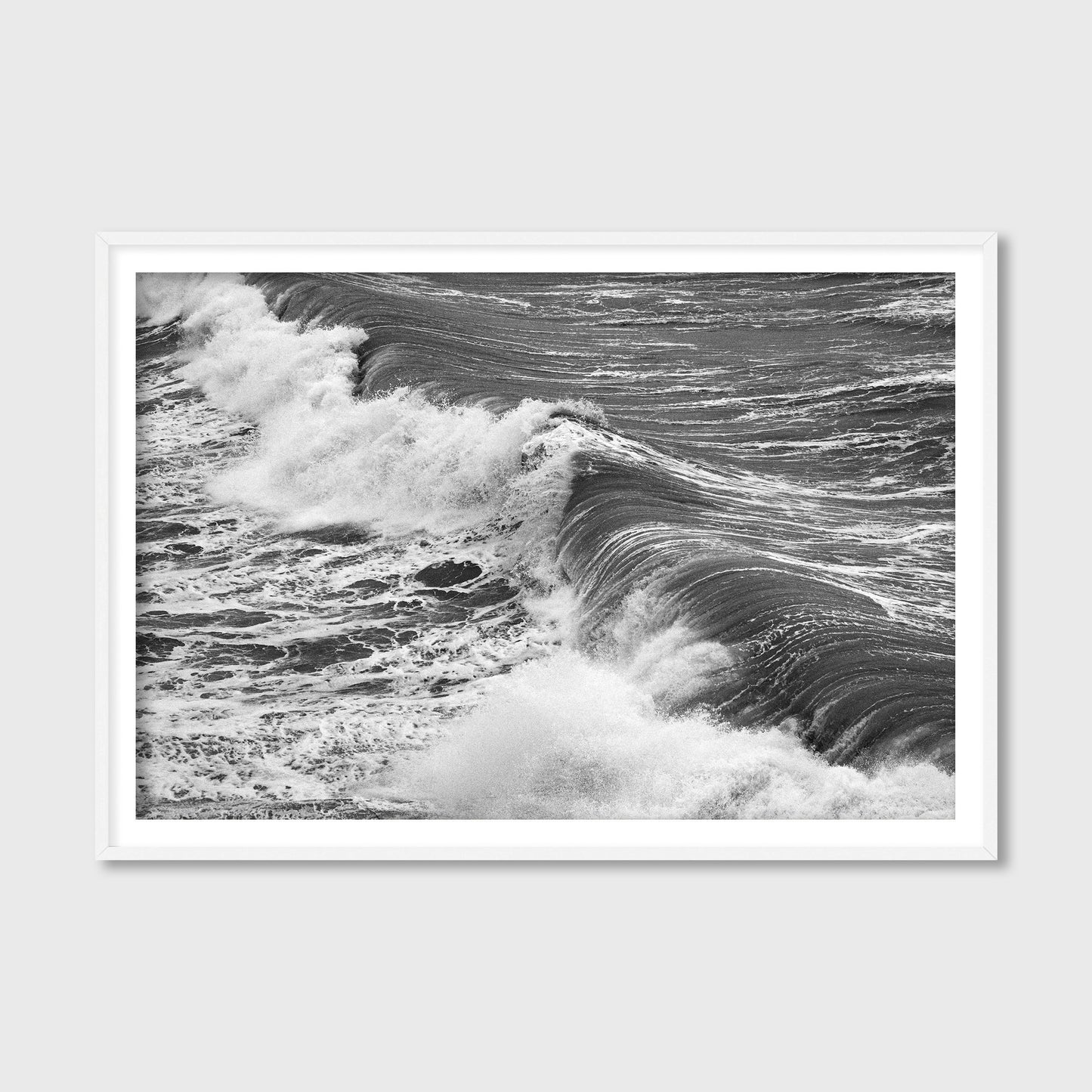 Freshwater Bay, 2025