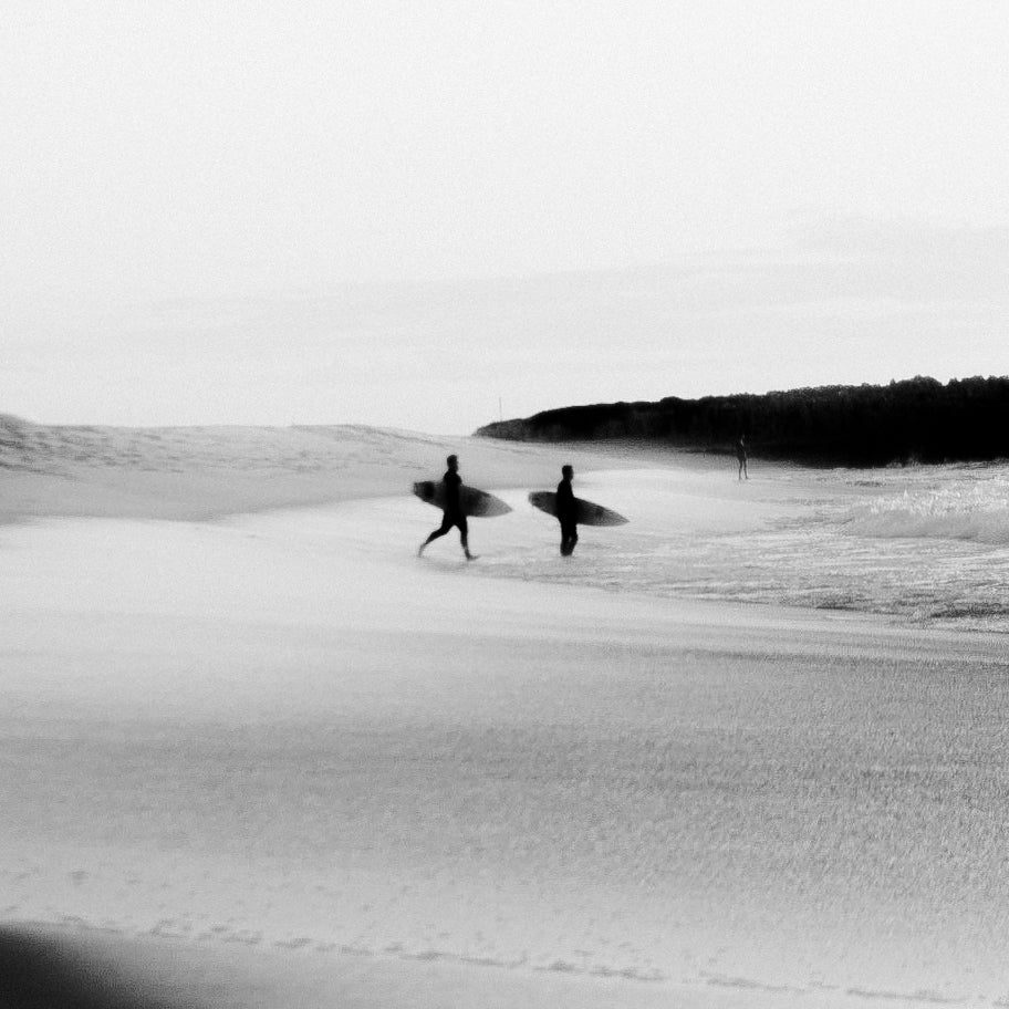 Last Surf, 2019