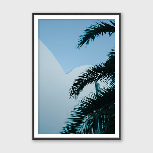 Palms, 2020