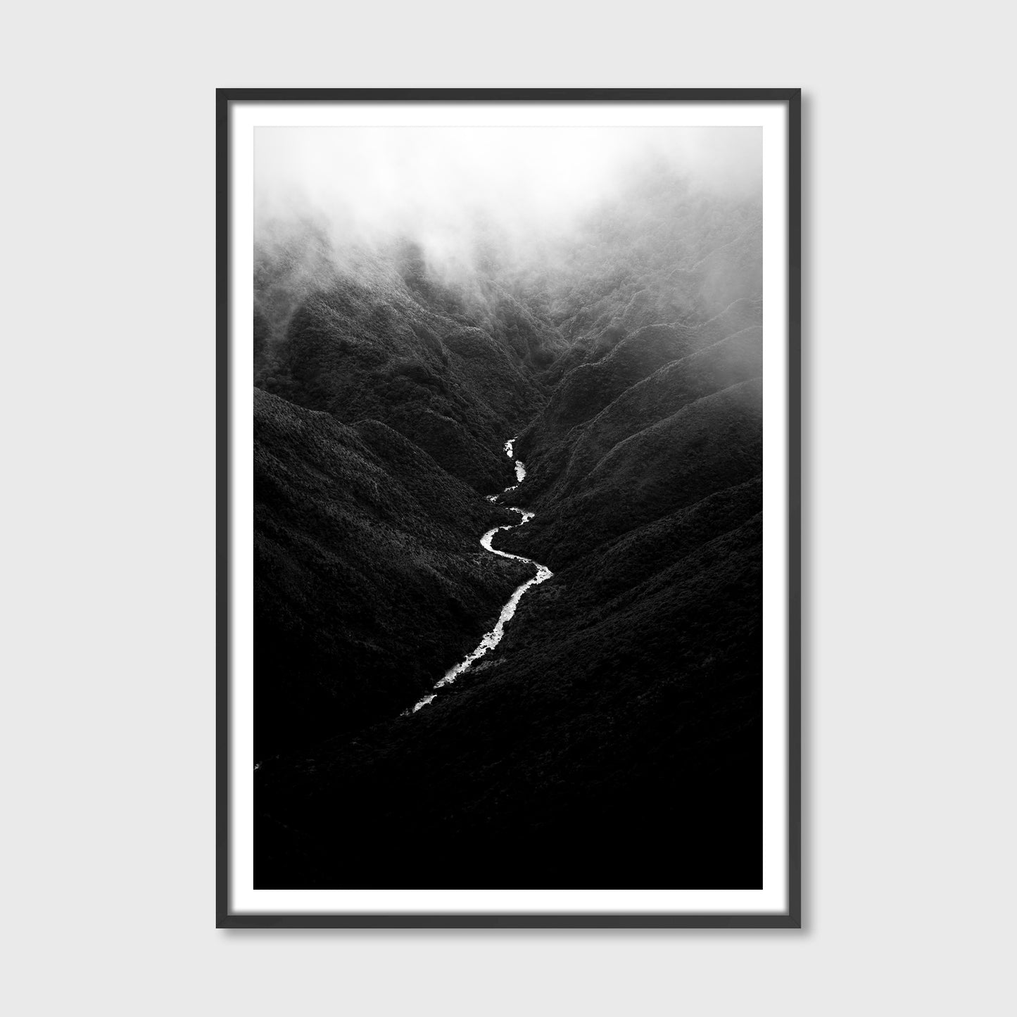 Tararua Snake, 2021