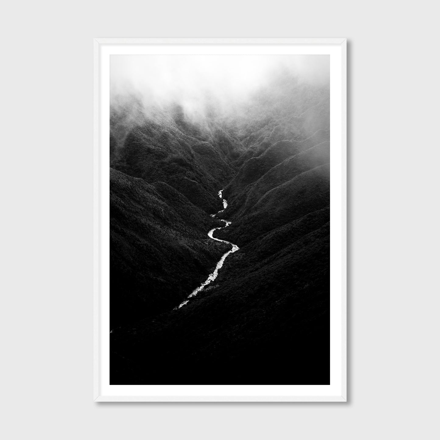 Tararua Snake, 2021