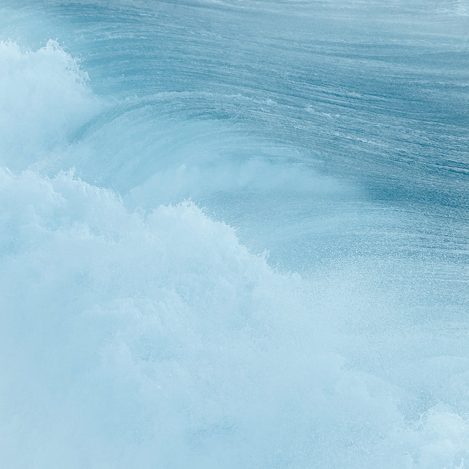 West Coast Swell, 2019