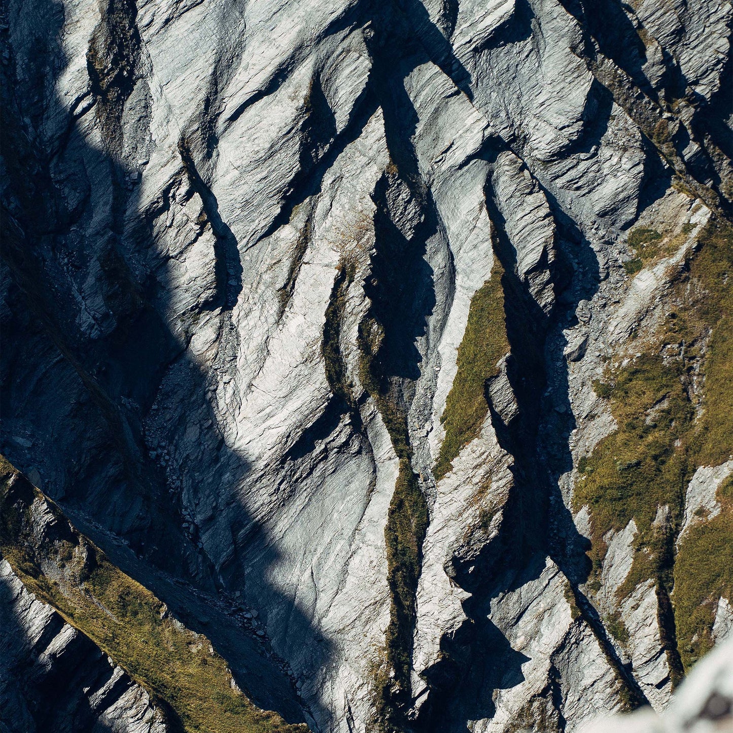 At the End of the World, 2022