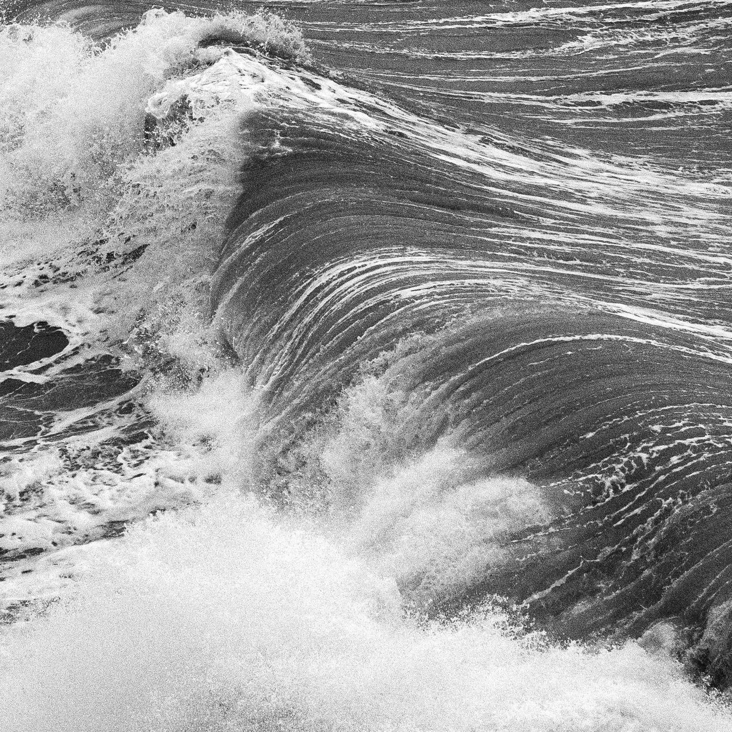 Freshwater Bay, 2025