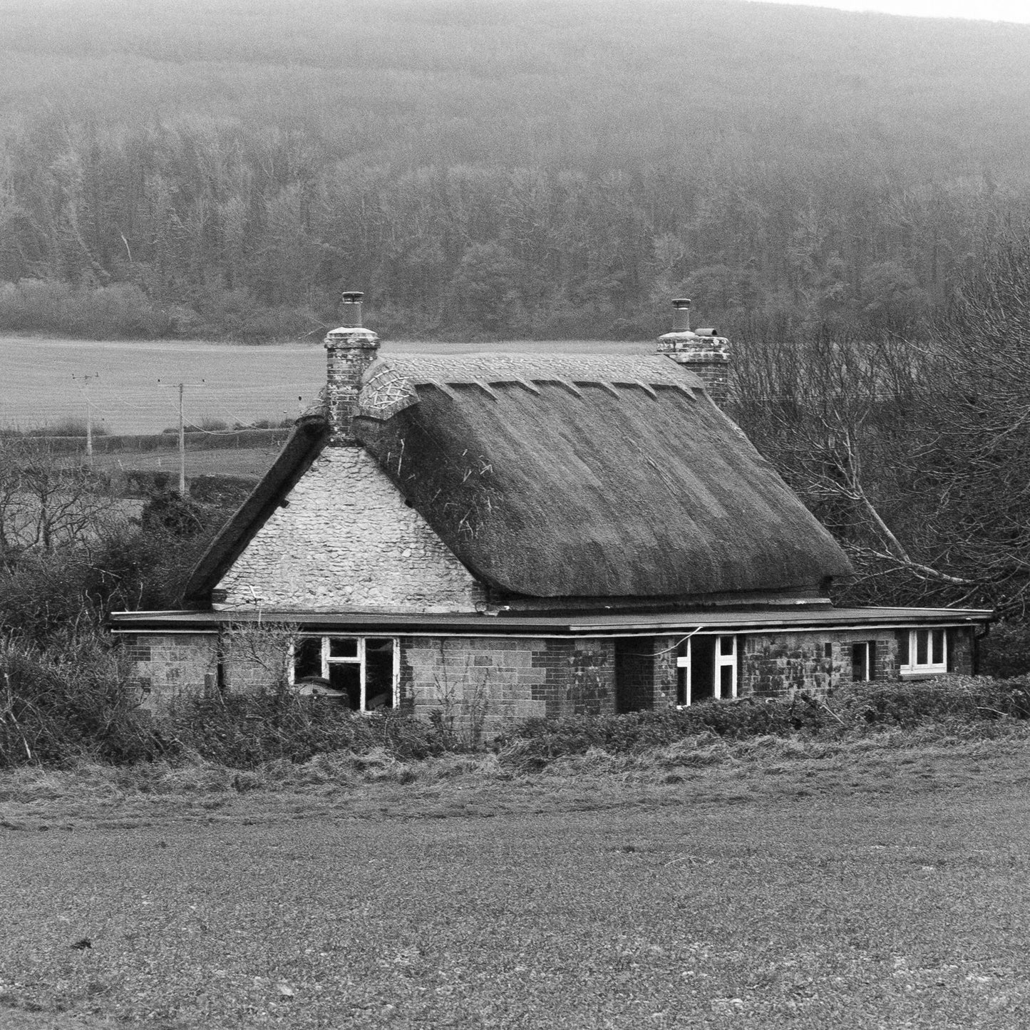 Cottage on the South Coast, 2025