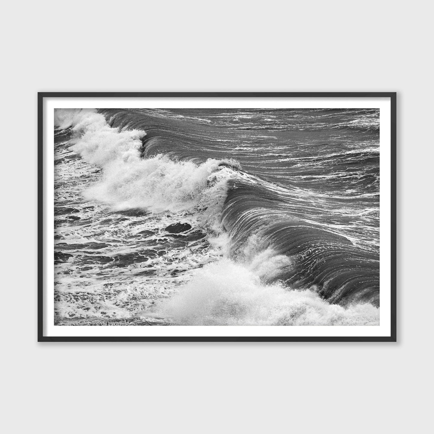 Freshwater Bay, 2025